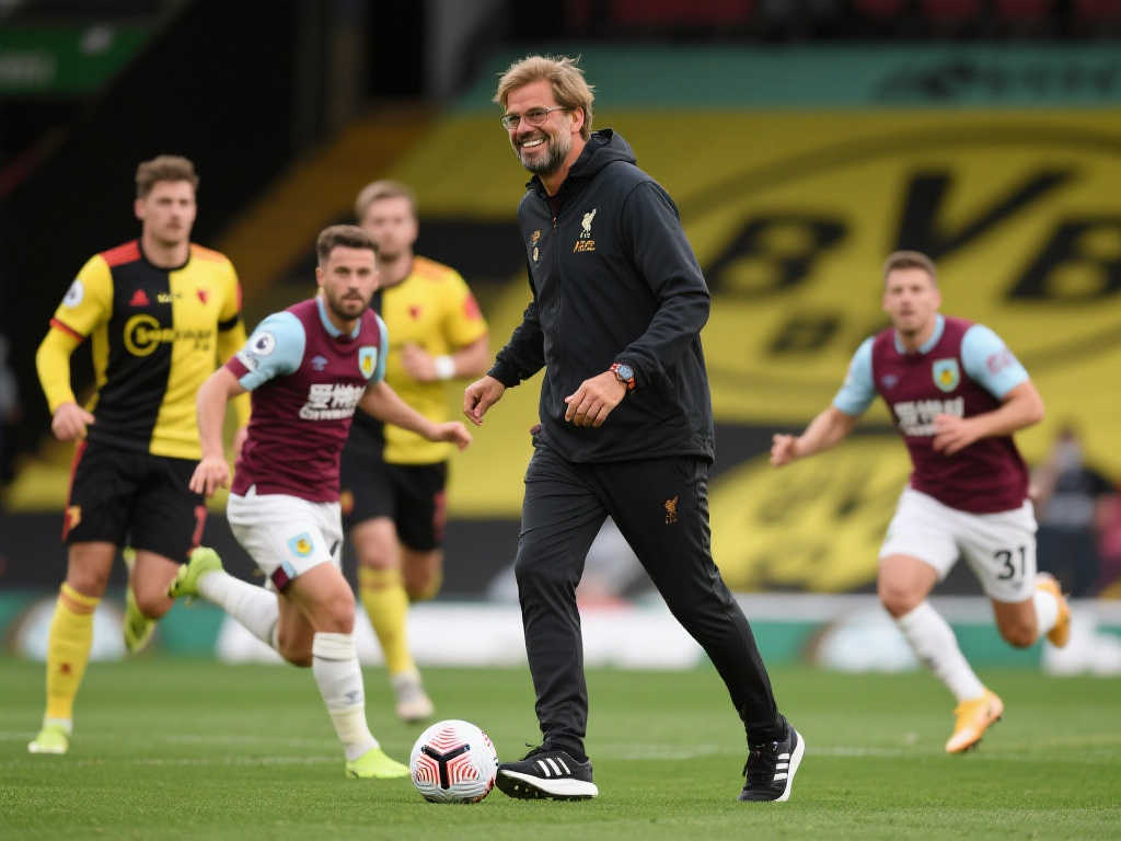 在今年的澳 在今年的澳